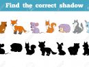 Trouver L'ombre Correcte, L'éducation Jeu Pour Les Enfants (Animaux De La  Forêt) pour Jeux Enfant Animaux