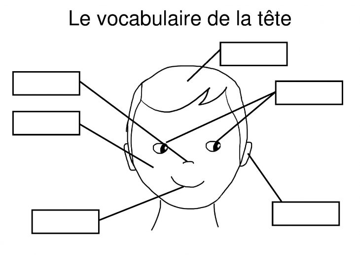 Une Activité Pour Découvrir Le Vocabulaire Du Corps Et Du concernant Activité Corps Humain