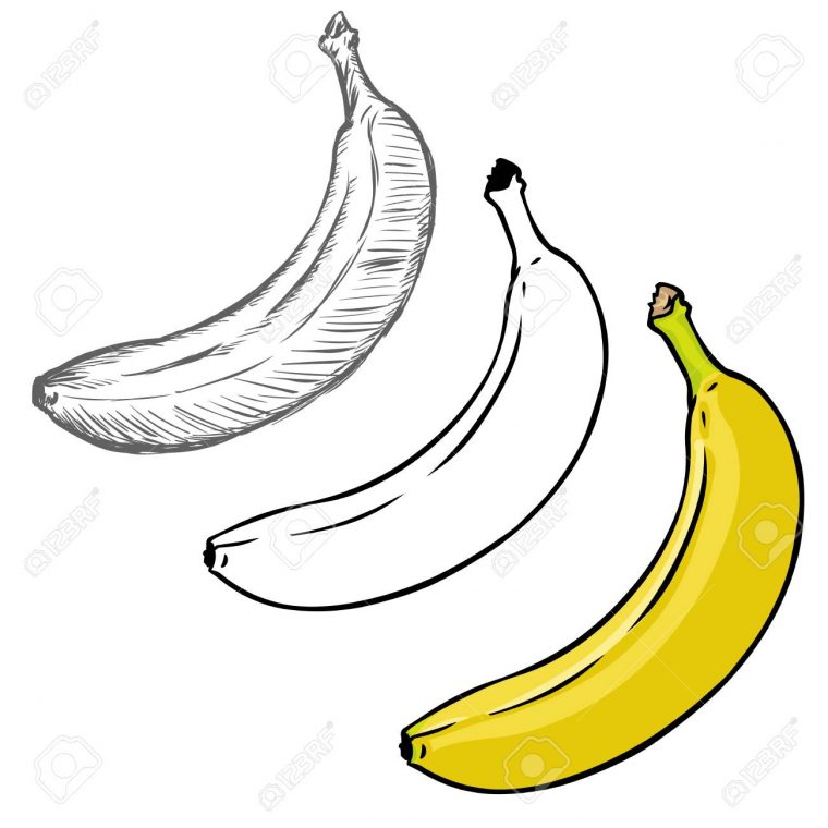 Vecteur Série De Bananes De Style Différente Illustration. Processus De  Dessin destiné Dessiner Une Banane