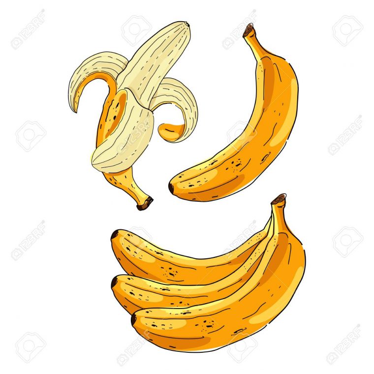 Vector Set De Dessin Animé Bananes Jaunes. Banane Trop Mûre, Banane Simple,  Banane Épluchée, Bouquet De Bananes. à Dessiner Une Banane