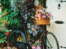 Vélo Et Fleurs - 500 Pièces Art Puzzle concernant Puzzles Adultes Gratuits