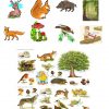 Vocabulaire 2,ce1,ce2, Imagiers, La Forêt,animaux, Végétaux, à Animaux Foret Maternelle