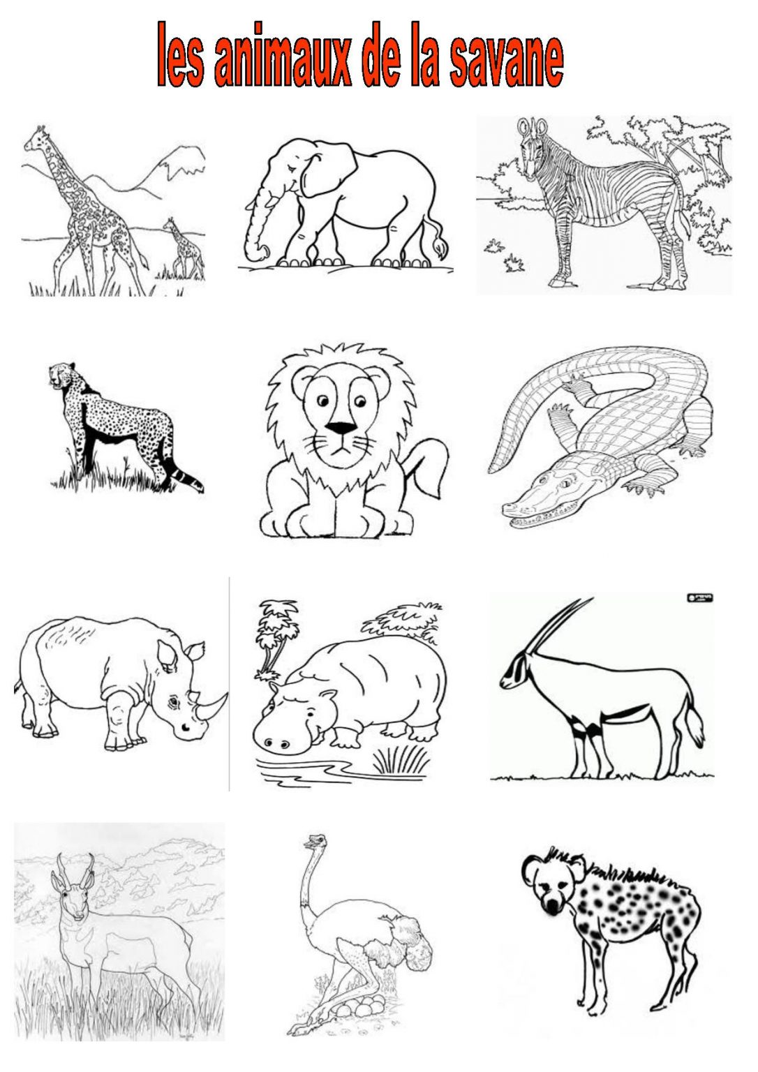 Vocabulaire 2,ce,cm2, Imagiers, Les Animaux De La Savane à Animaux