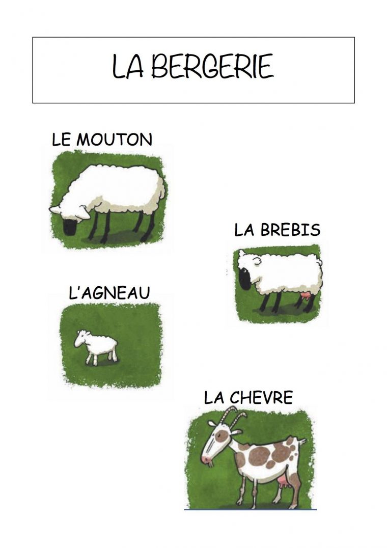 Vocabulaire De La Ferme Imagier Simple Pour La Maternelle destiné Les Animaux De La Ferme Maternelle