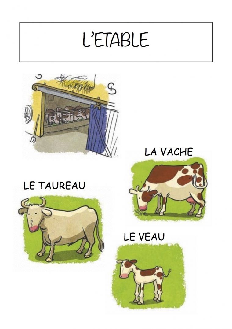 Vocabulaire De La Ferme Imagier Simple Pour La Maternelle intérieur Les Animaux De La Ferme Maternelle