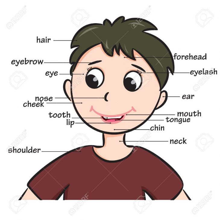 Vocabulaire Garçon De Bande Dessinée Enfant De Visage Parties Illustration pour Apprendre Les Parties Du Visage