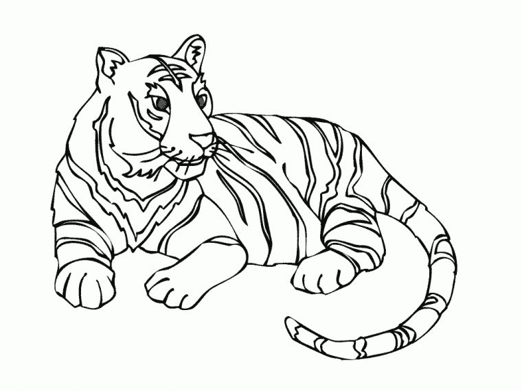 Votre Note. Pochoir Tigre. Coloriage De Tigre Gratuit. Tigre concernant Coloriage Bébé Tigre