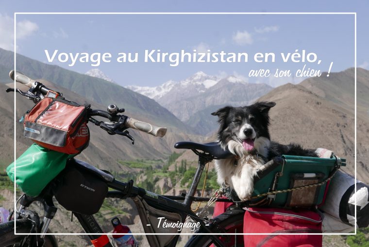 Voyage Au Kirghizistan En Vélo, Avec Son Chien! à Chien Qui Fait De La Luge