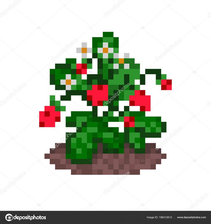 Wild Strawberries On A Bush Growing In A Bed, Pixel Art Icon à Pixel Art Fraise