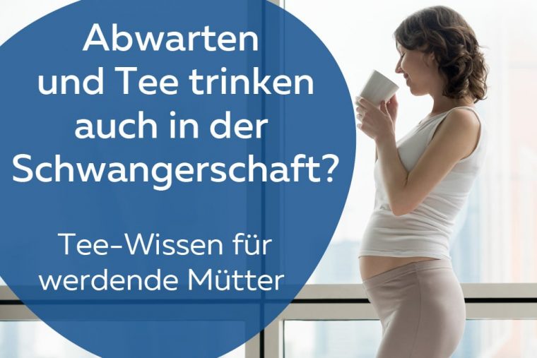 wer ist mit ritex schwanger geworden