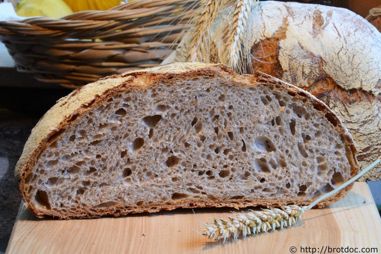 artisan brot thermomix