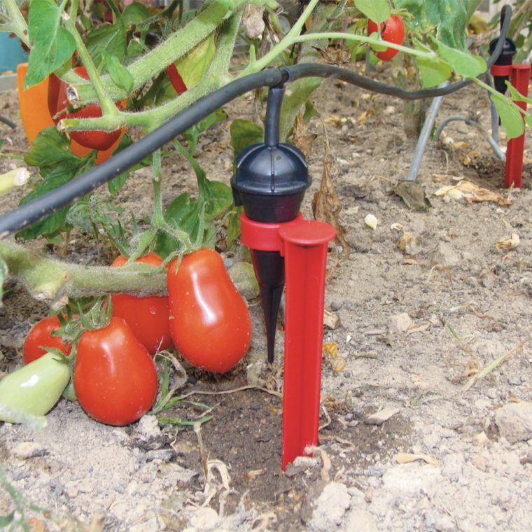 systeme arrosage jardin potager