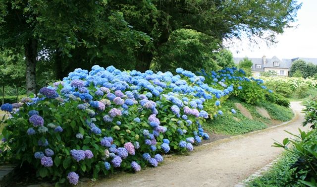 hotel jardin des plantes avranches