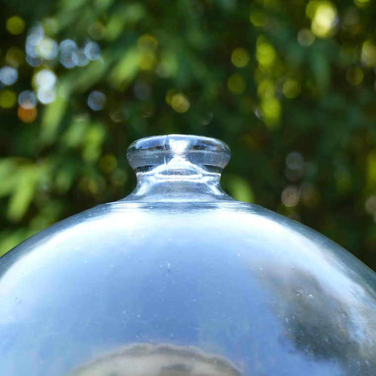 cloche en verre jardin