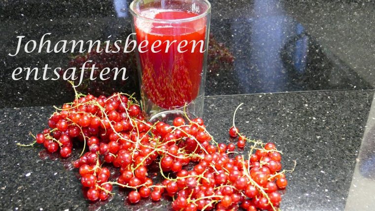 johannisbeeren entsaften im thermomix