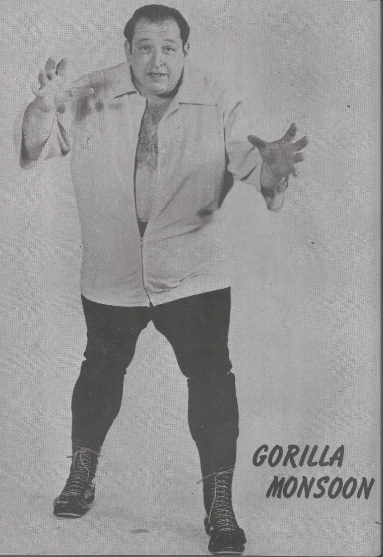 gorilla monsoon tour