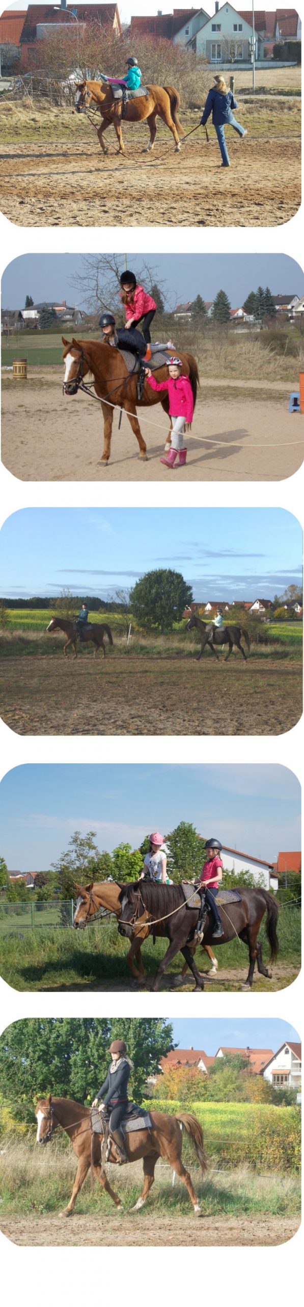 reiten für kinder ab 6 jahren in der nähe