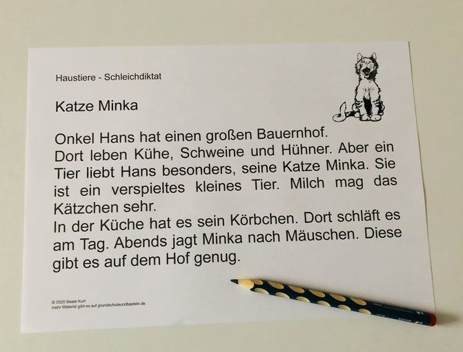 schleichdiktat 4. klasse