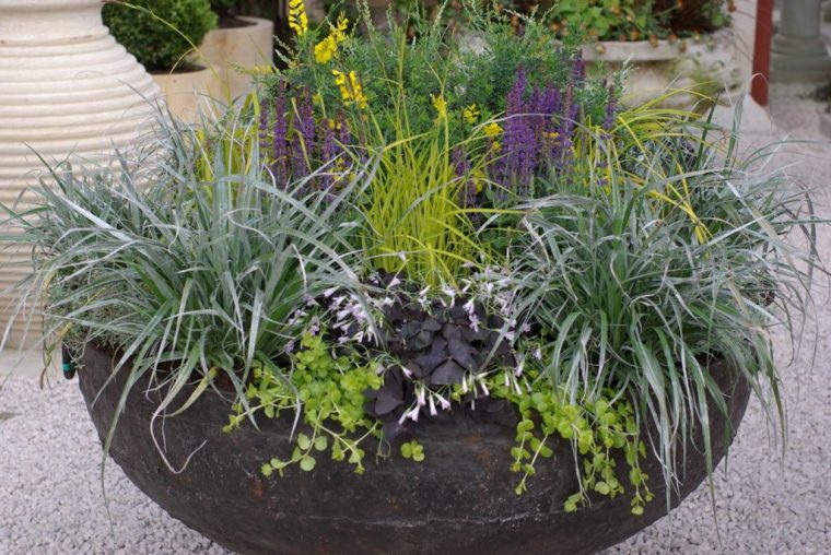 pot jardin pas cher