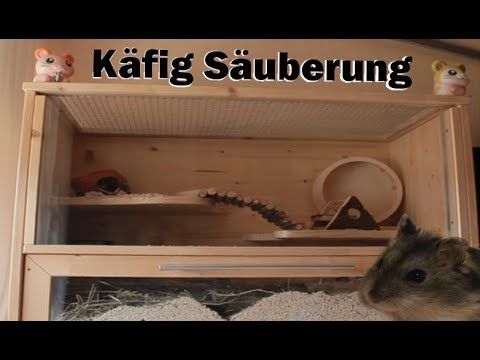 farbmäuse draußen halten