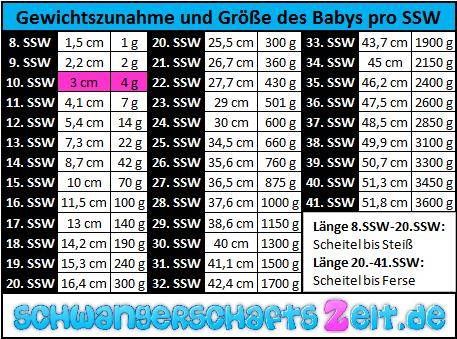 was bedeutet größe 46s