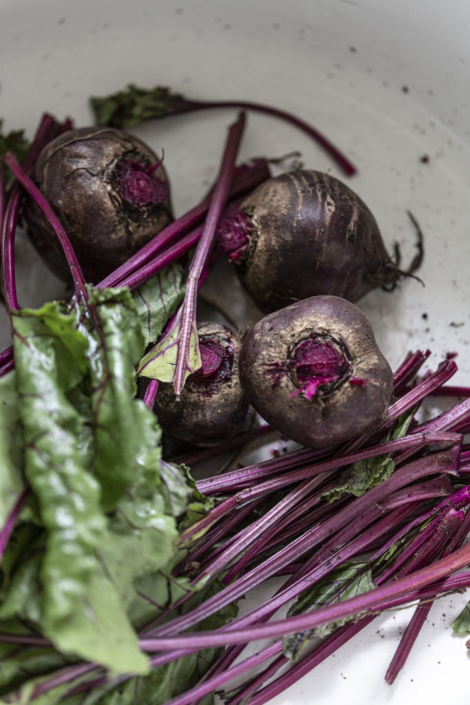 fermentieren rote beete