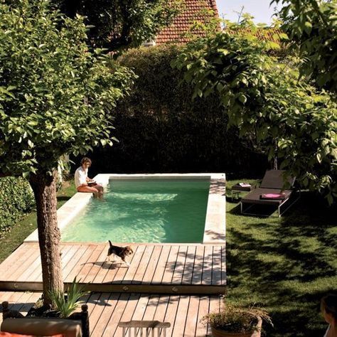 petite piscine jardin