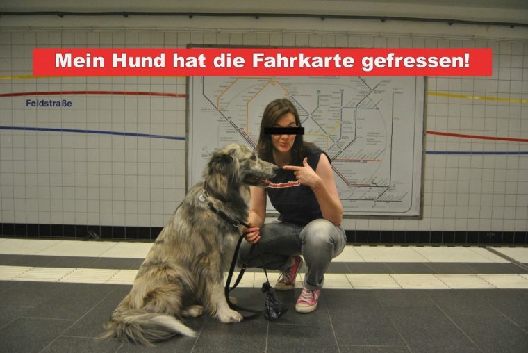 hund hat ameisenköder gefressen