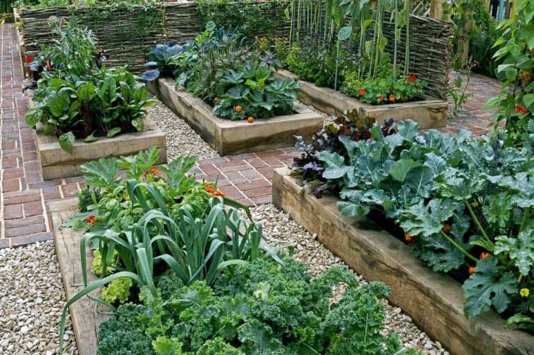 faire un petit potager dans son jardin