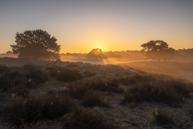 auf der heide 17