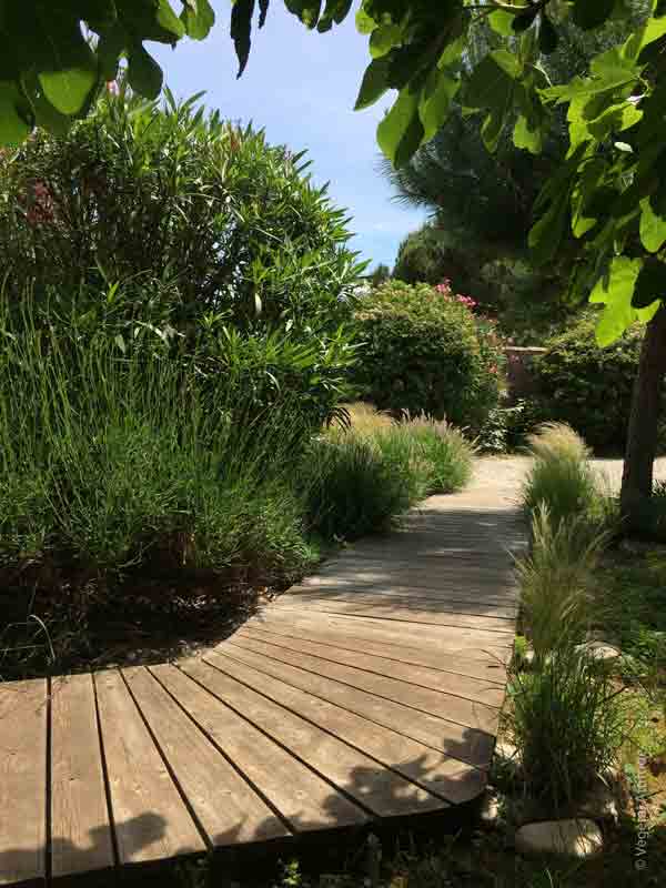 allée de jardin en bois