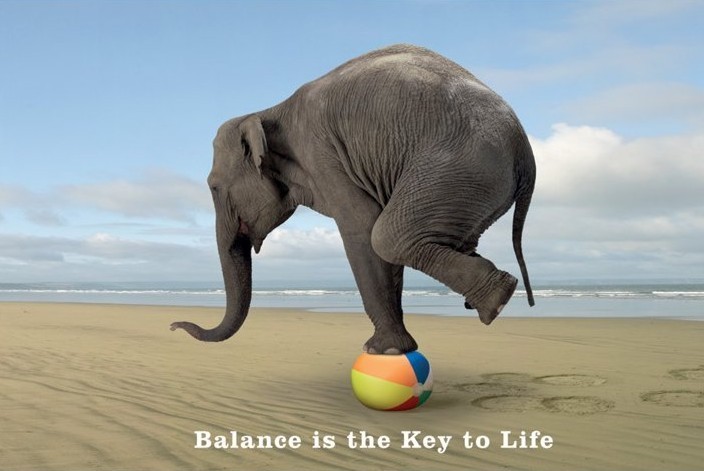 balance is the key