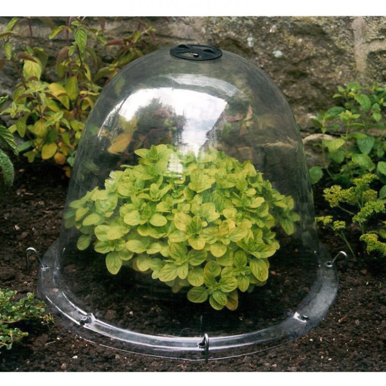 cloche de jardin