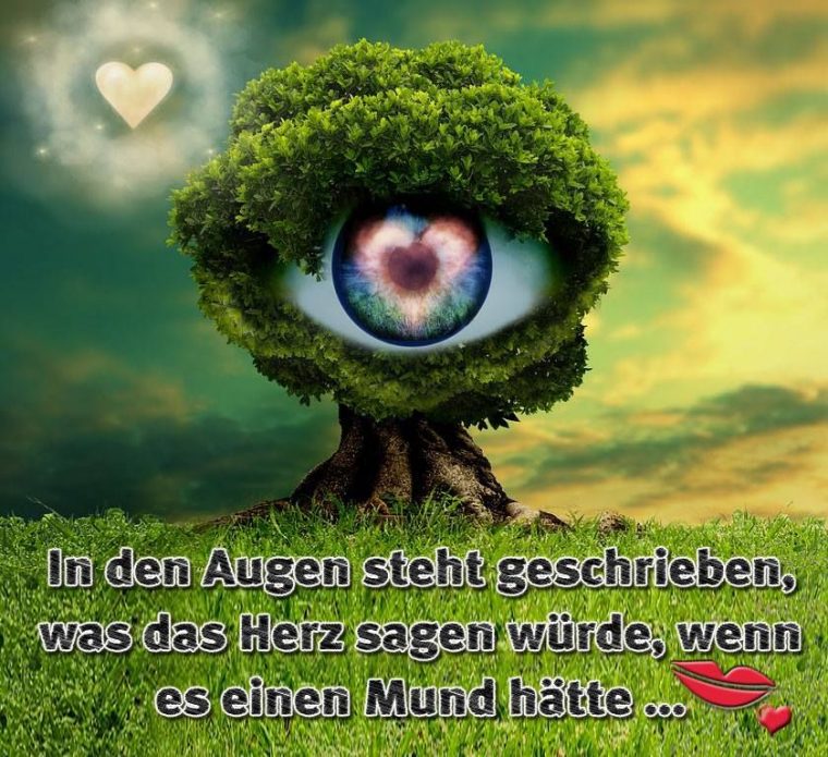 sprüche augen seele