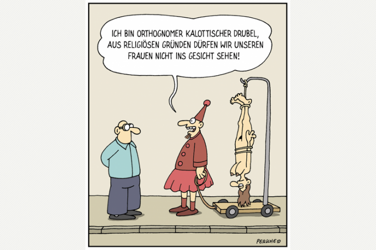 dt cartoonist und autor