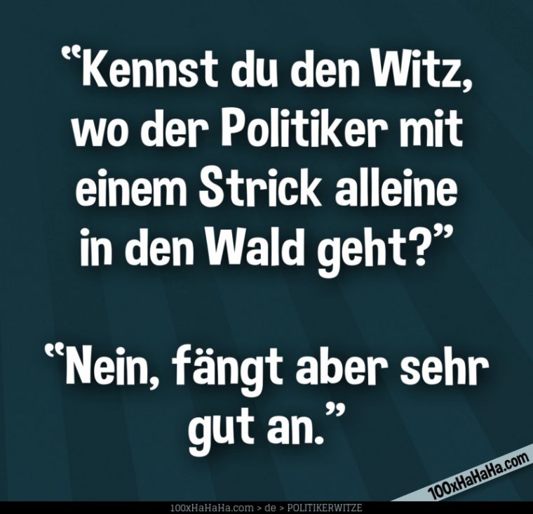 lustige bilder über politiker