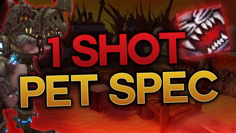 1 Shot Pet Build – Bm Hunter Wow Legion – serapportantà Kargoz