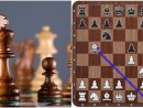 10 Best Chess Openings That Every Beginner Should Know tout Newinchess