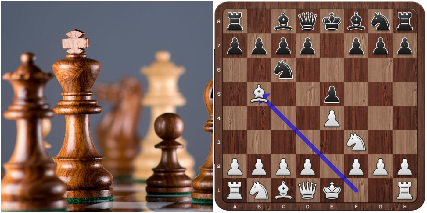 10 Best Chess Openings That Every Beginner Should Know tout Newinchess 