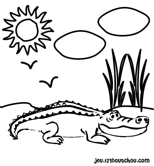 106 Dessins De Coloriage Crocodile À Imprimer Sur à Crocodile A Imprimer 
