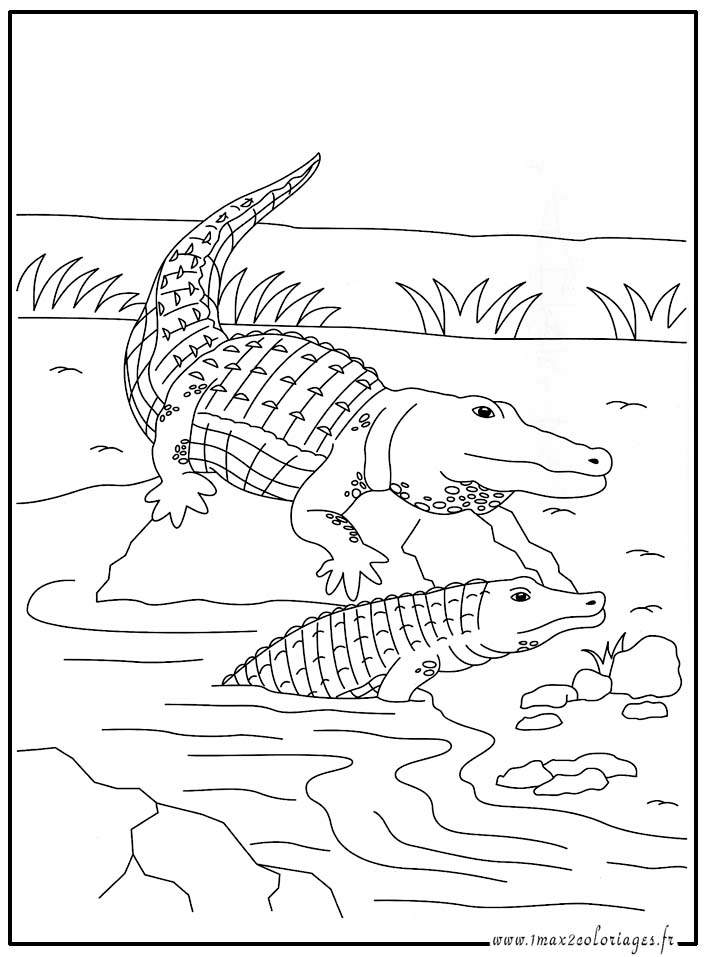 106 Dessins De Coloriage Crocodile À Imprimer Sur tout Crocodile A Imprimer 