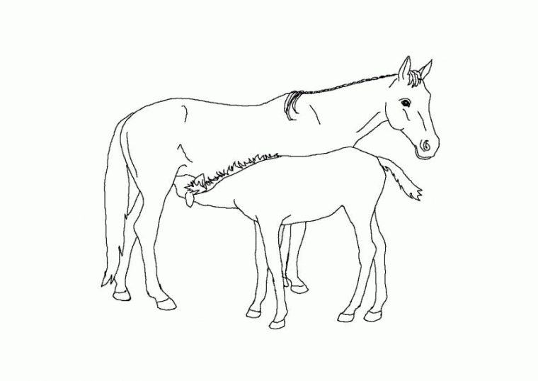 296 Dessins De Coloriage Cheval À Imprimer Sur Laguerche tout Imprimer Un Cheval