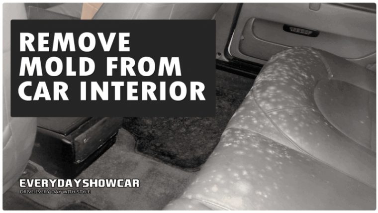 3 Easy Ways To Clean Mold Out Of Your Car Interior – Edsc destiné Lead To Only A Partial Uninstall."