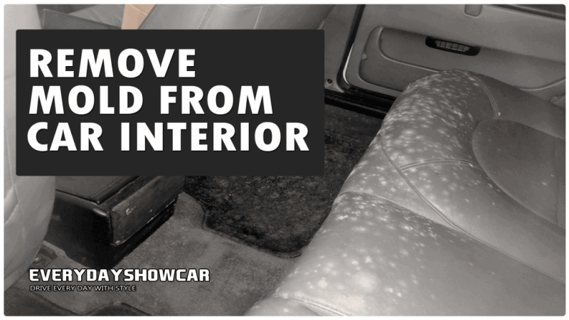 3 Easy Ways To Clean Mold Out Of Your Car Interior - Edsc destiné Lead To Only A Partial Uninstall.&quot;