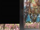 3X10Ft(0.9X3M)100% Black Tint Car Window Tint Film Opaque destiné Berkeley Privacy Window Tinting