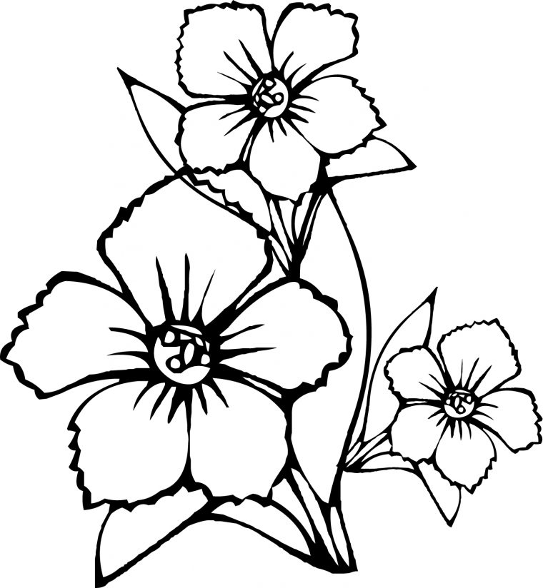 74 Dessins De Coloriage Fleur À Imprimer Sur Laguerche à Image De Coloriage A Imprimer