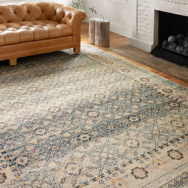 Alexander Home Luxe Shabby Chic Antiqued Distressed Area tout Shabby Chic Area Rugs 