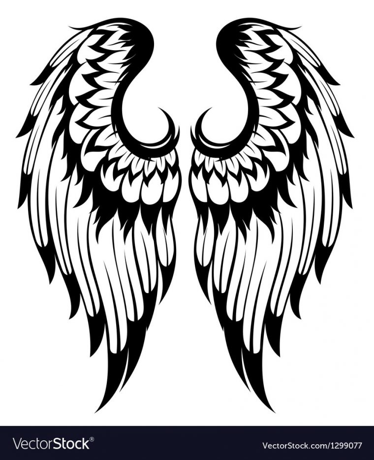 Angel Wings Royalty Free Vector Image – Vectorstock dedans Wings Vector