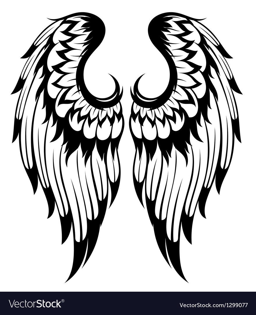 Angel Wings Royalty Free Vector Image - Vectorstock dedans Wings Vector 