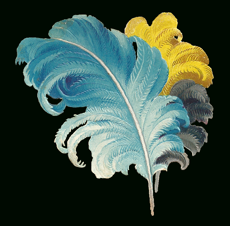Antique Images: Free Feather Graphic: Victorian Scrap Of destiné Feather Clipart